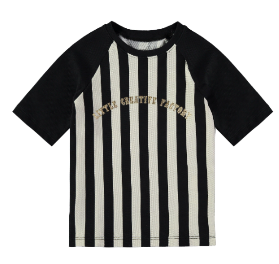 LITTLE CREATIVE STRIPED SWIM TSHIRT (2-7Y)
